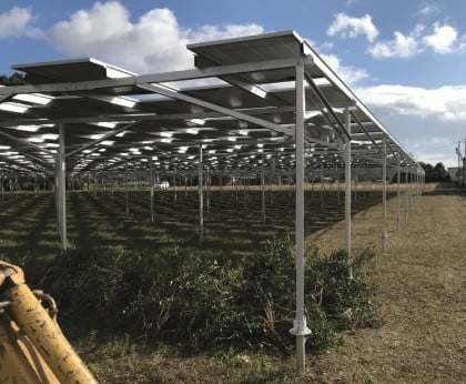 Agriculture Solar Farm Mounting Structure with Common Base